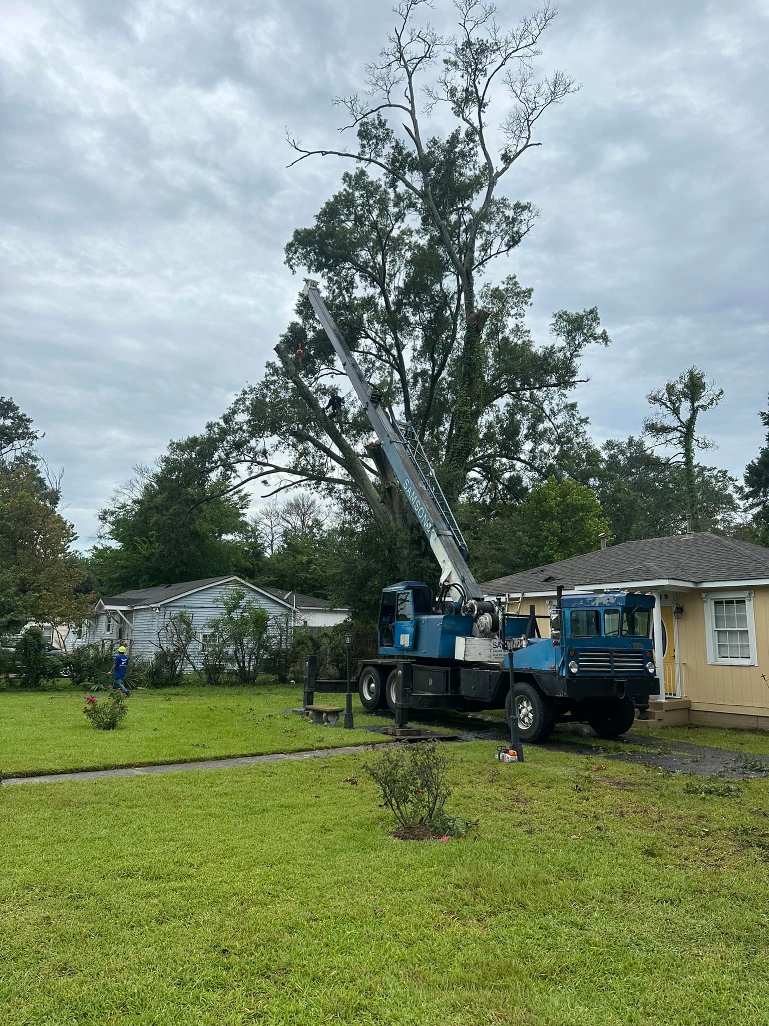 Garden Of Eden Tree Service