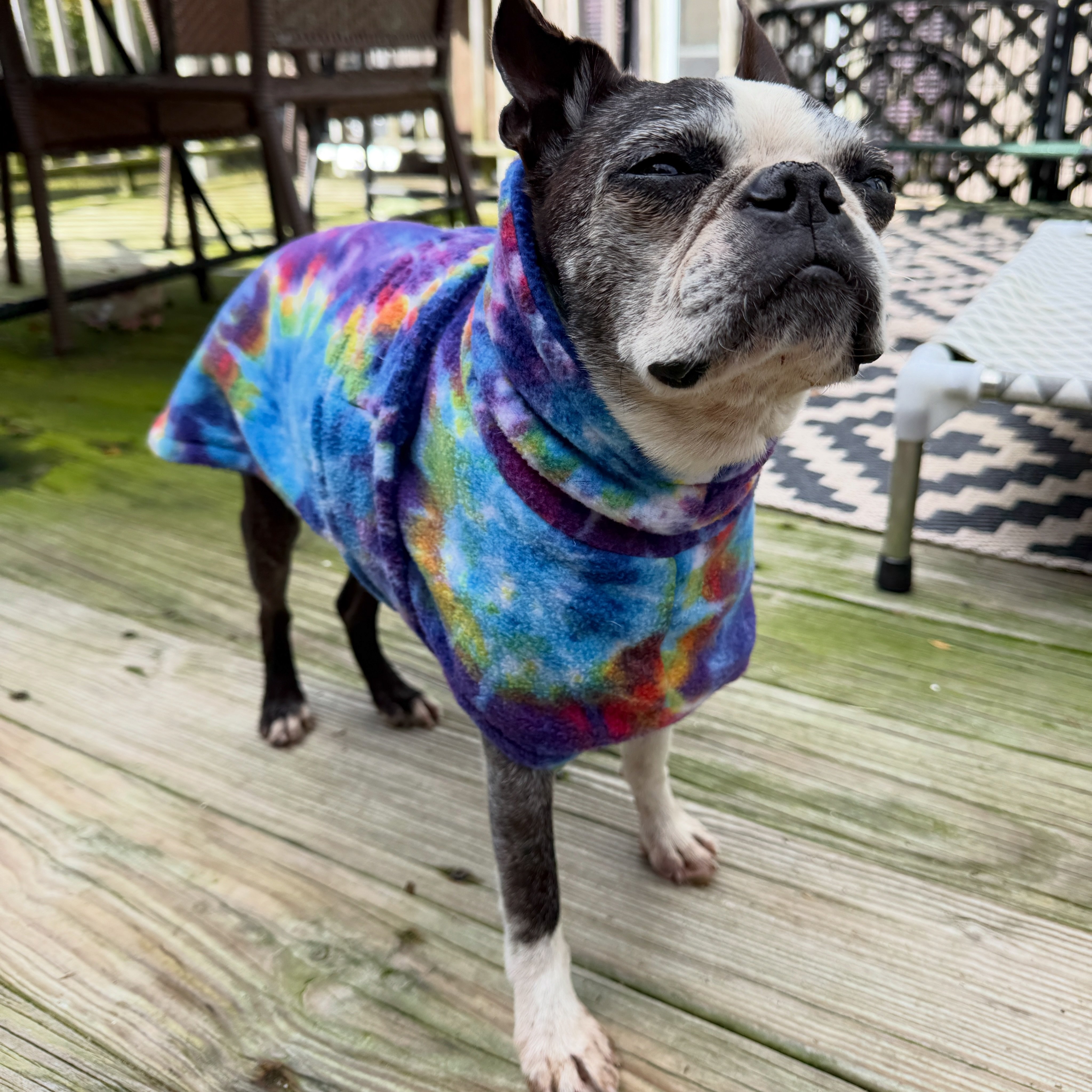 ⭐︎犬服⭐︎handmade Lenny the boston in tie dye fleece