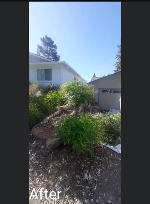Precision Yard Maintenance | Santa Rosa CA