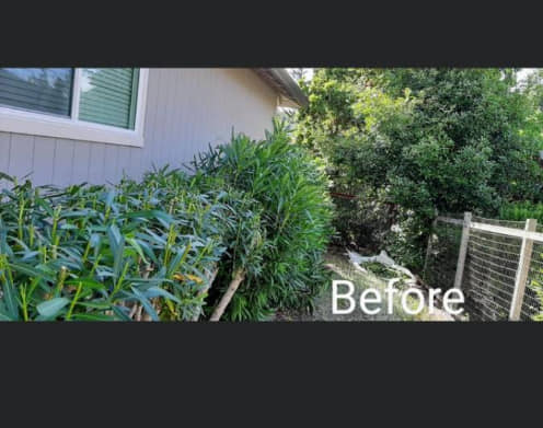 Precision Yard Maintenance | Santa Rosa CA