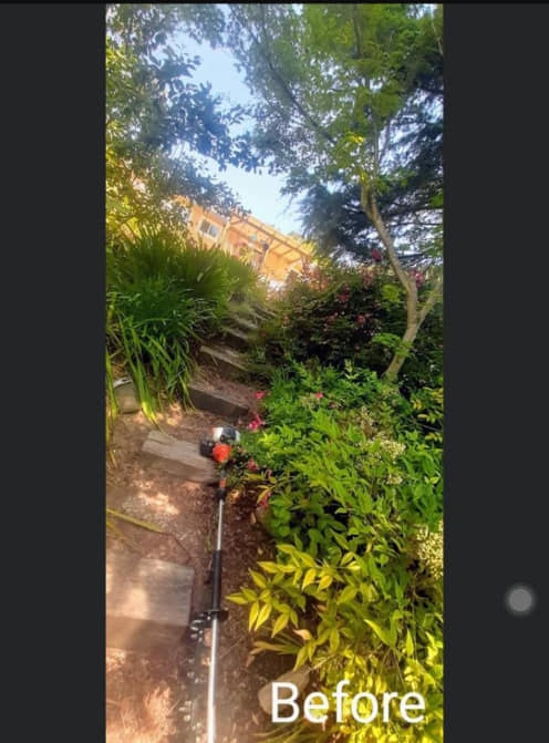 Precision Yard Maintenance | Santa Rosa CA