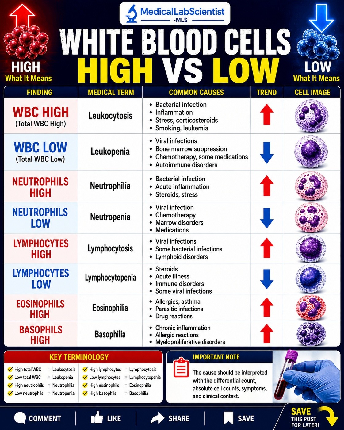 klow white blood cell count WBC High vs Low: Leukocytosis & Leukopenia High or low WBC counts have different meanings. Learn the key terms: leukocytosis, leukopenia, neutrophilia, neutropenia, lymphocytosis, lymphocytopenia, eosinophilia, and basophilia. This CBC guide also Low hemoglobin