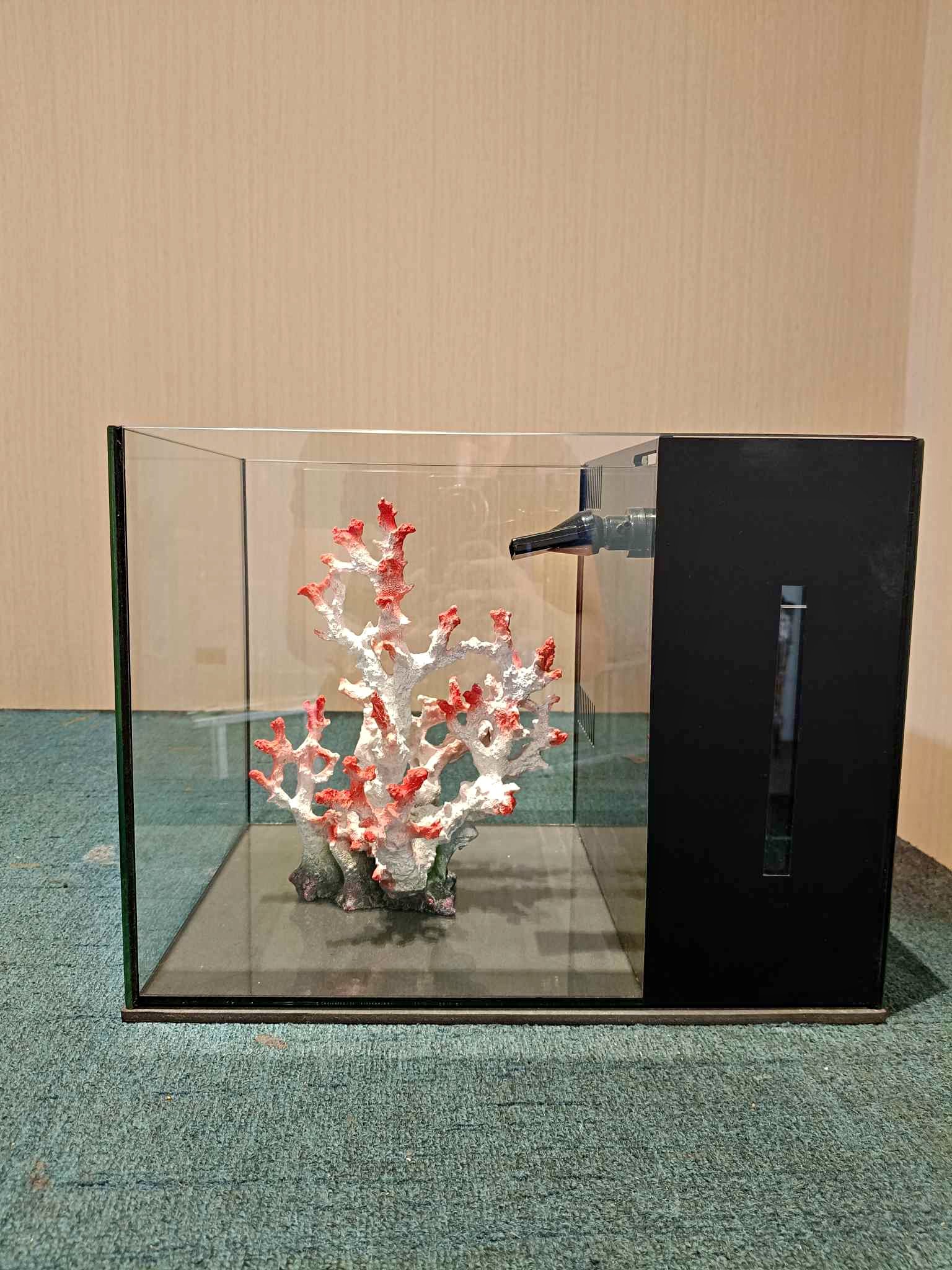 Aquarium For sale powede take all para discount - Fish Supplies ...