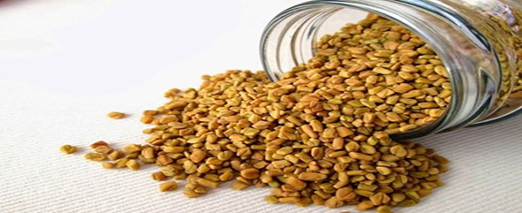 My Spice Hub - Pemborong & Pembekal Rempah Ratus - Assalamualaikum ...