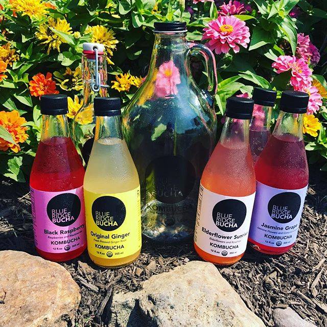 FESTY - Blue Ridge Bucha is bringing their locally... | Facebook