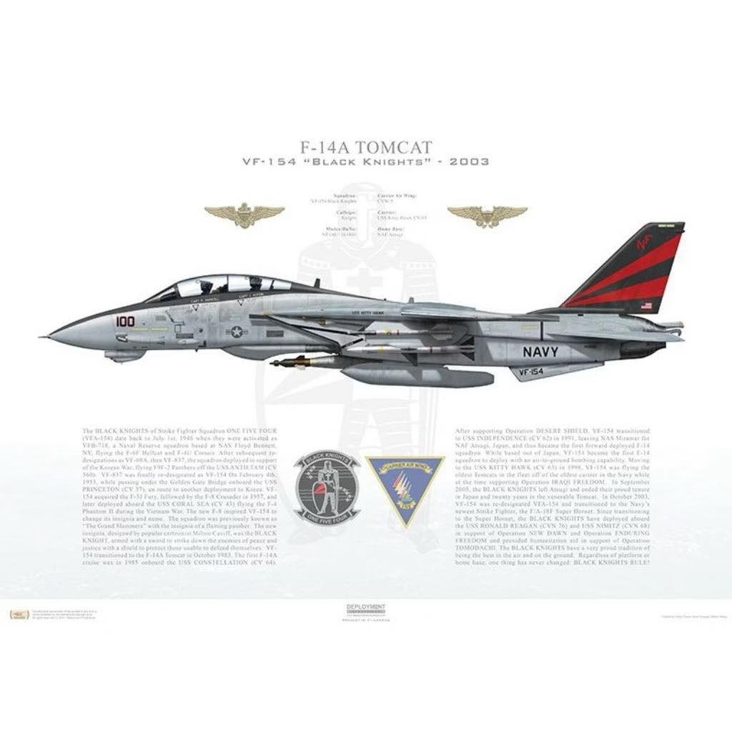 WITTY WINGS F-14 TOMCAT VF-154 BLACK KNIGHTS NF100- 2003