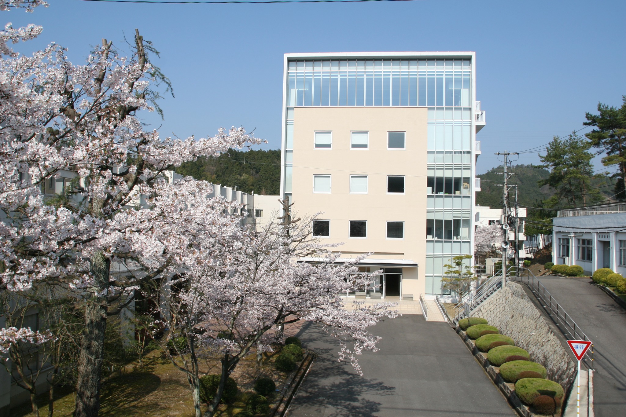 公の場での発言・インタビュー報道記録