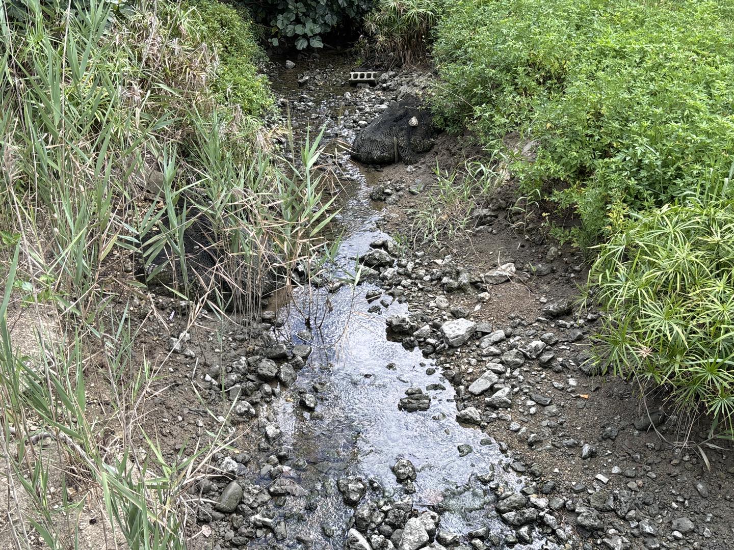 Okinawanderer - Okinawanderer added a new photo.