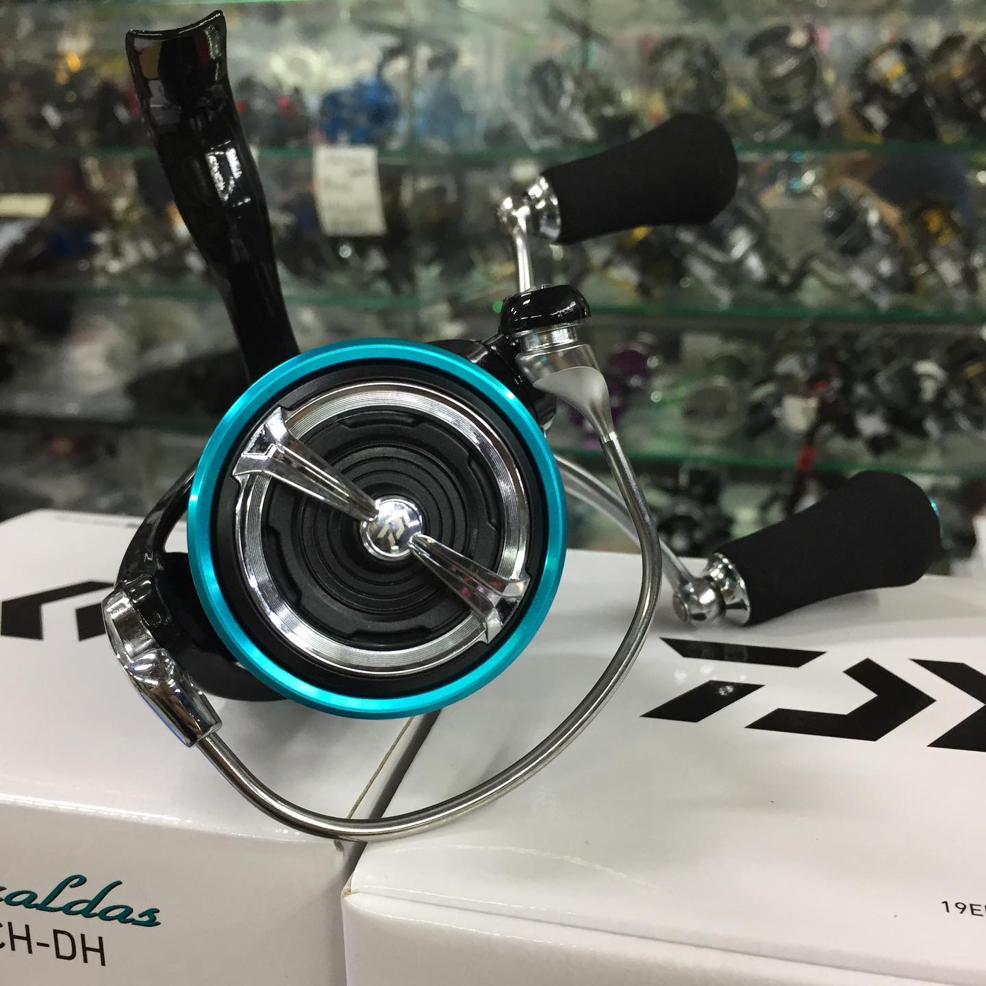 Eging Fans the cheaper version of Daiwa Emeraldas LT3000S-CH-DH is 