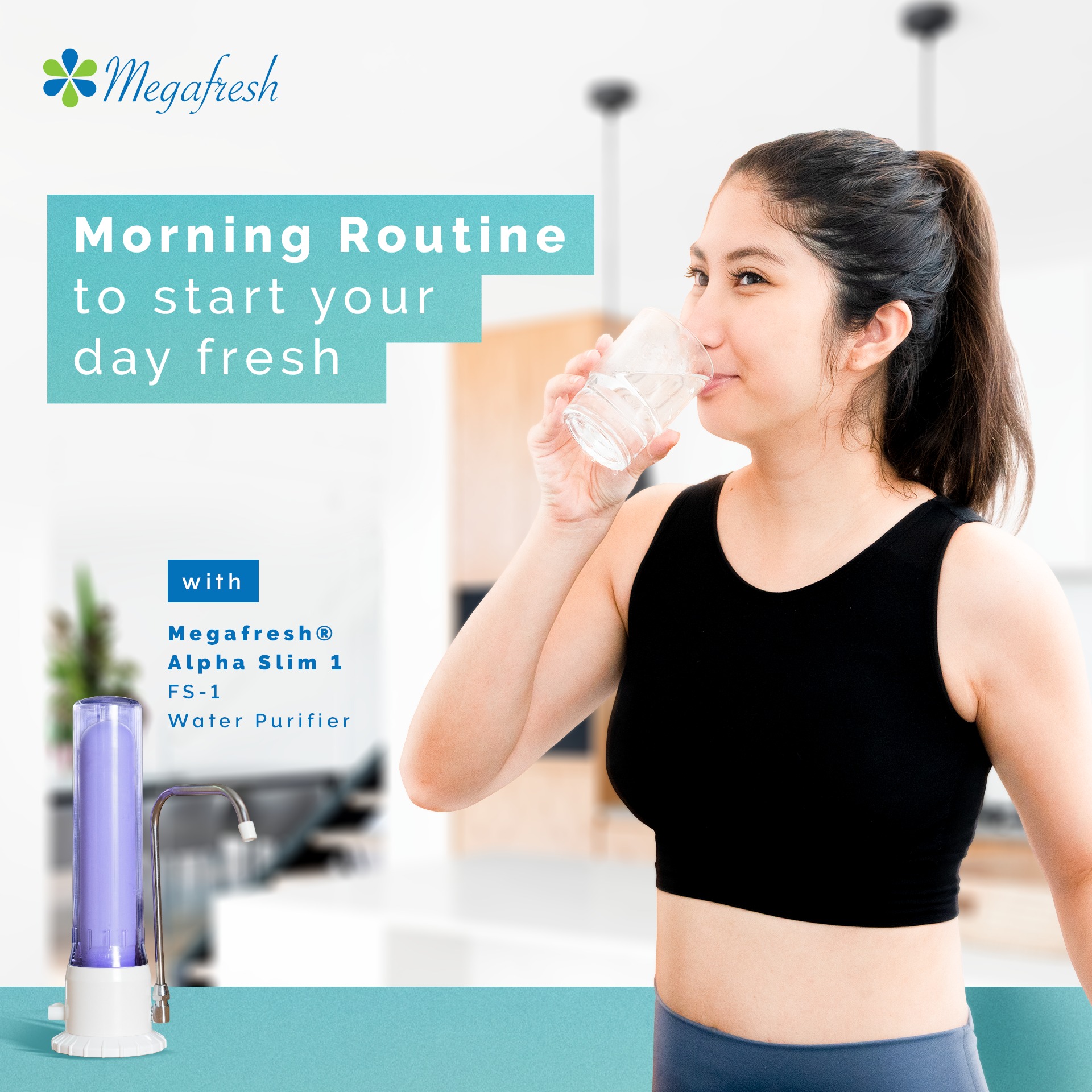 Megafresh Water & Air Purifier - Home