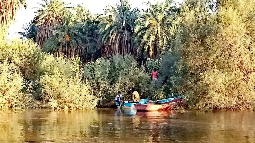 ديار الدناقلة 