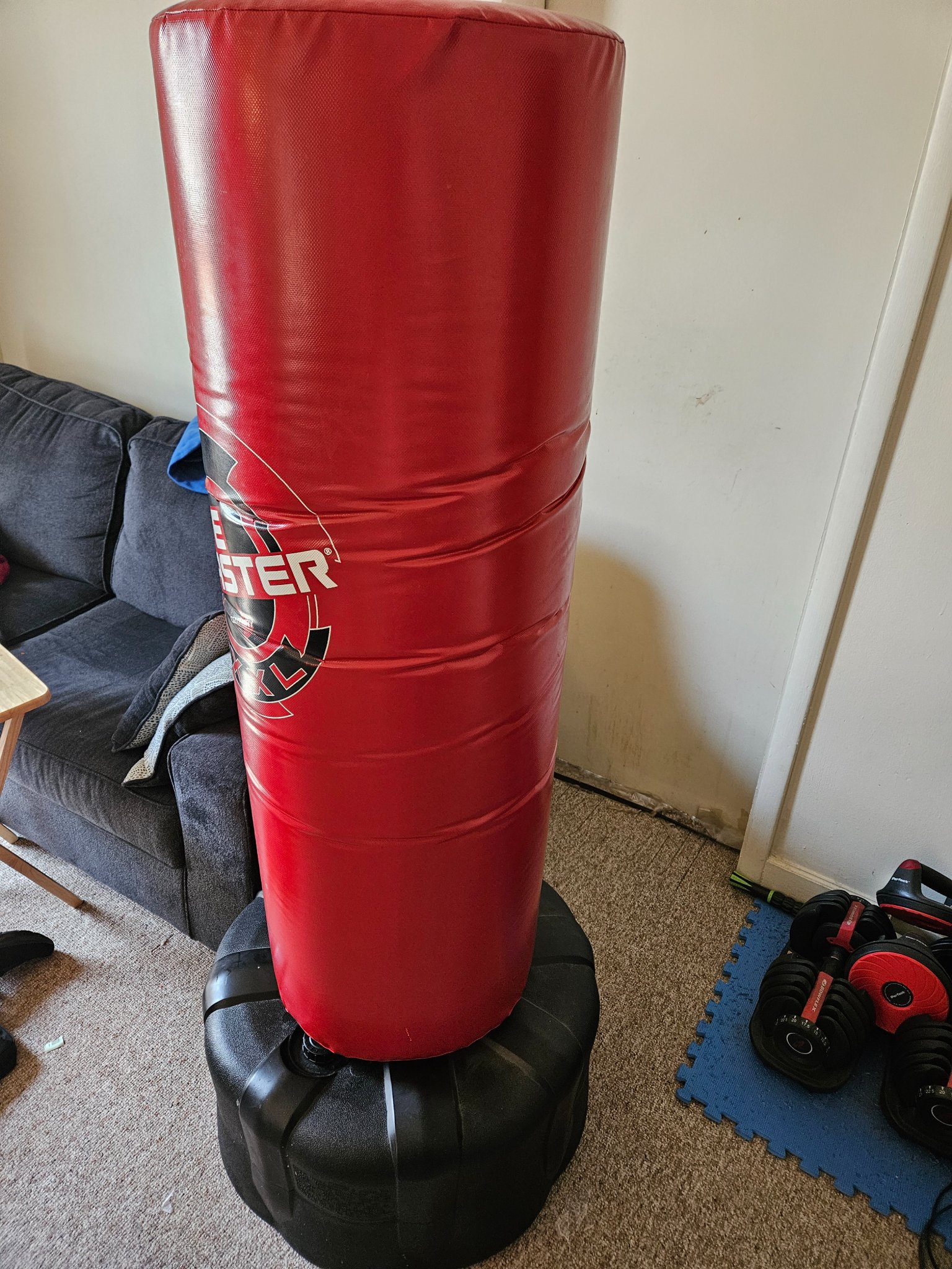 Original Century Wavemaster XXL – Gym Model (Barely Used / Hard to Find ...