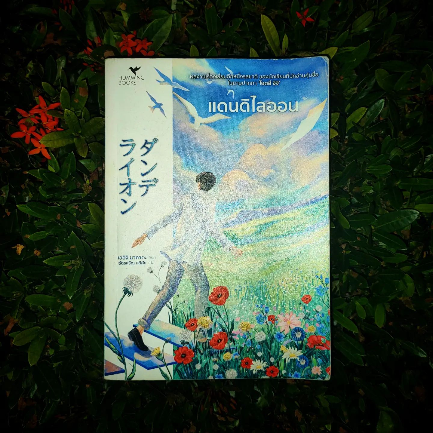 Tharm - Dandelion แดนดิไลออน ผู้แต่ง: เออิจิ นาคาตะ (โอตสึ อิจิ) ผู้แปล ...
