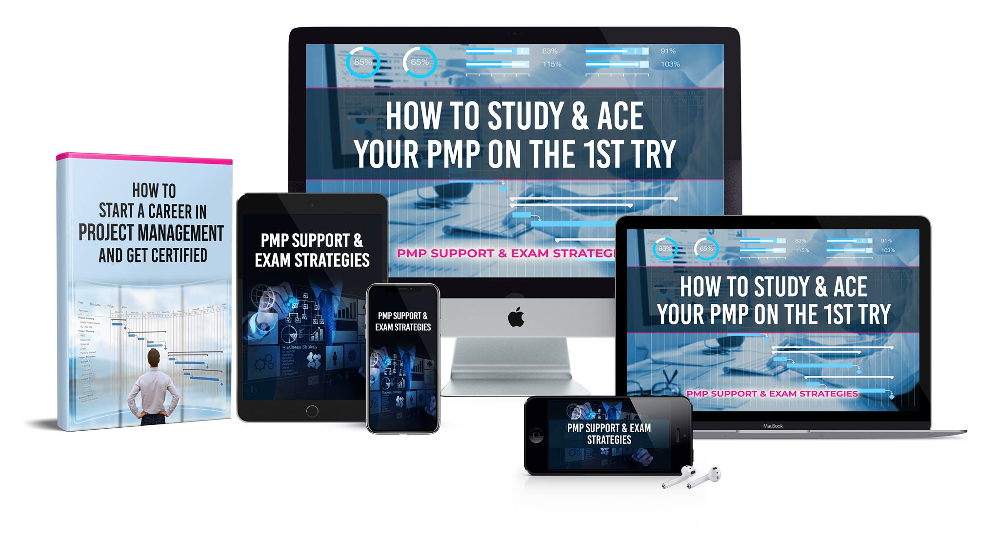 How to study and Ace your PMP on the first try!