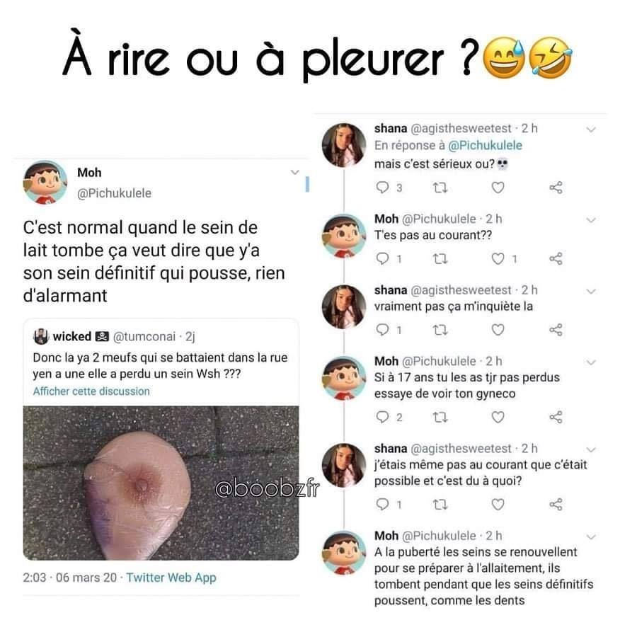 C Quoi Le Gland De Lait