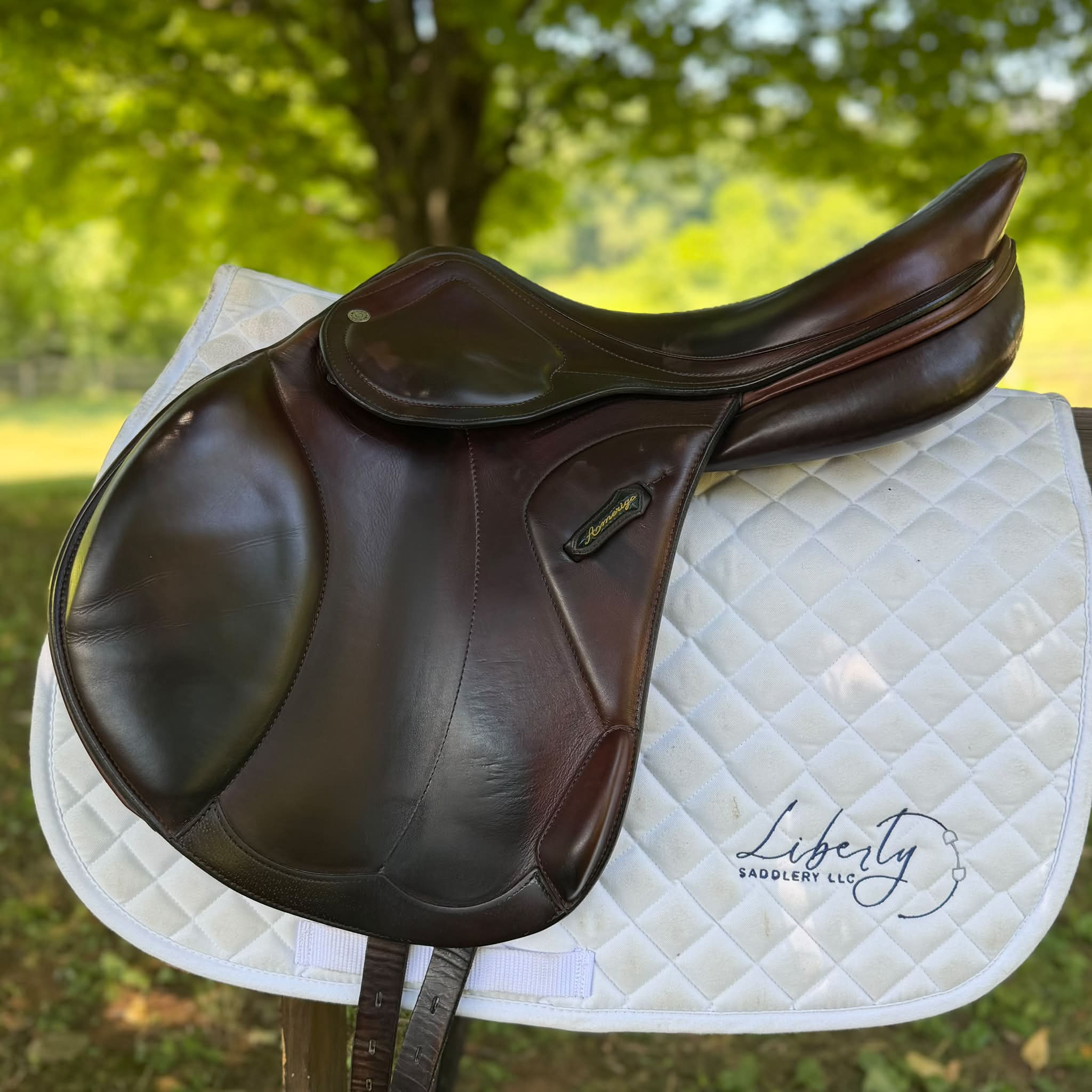 2021 Amerigo DJ Largo saddle for sale with 17.5