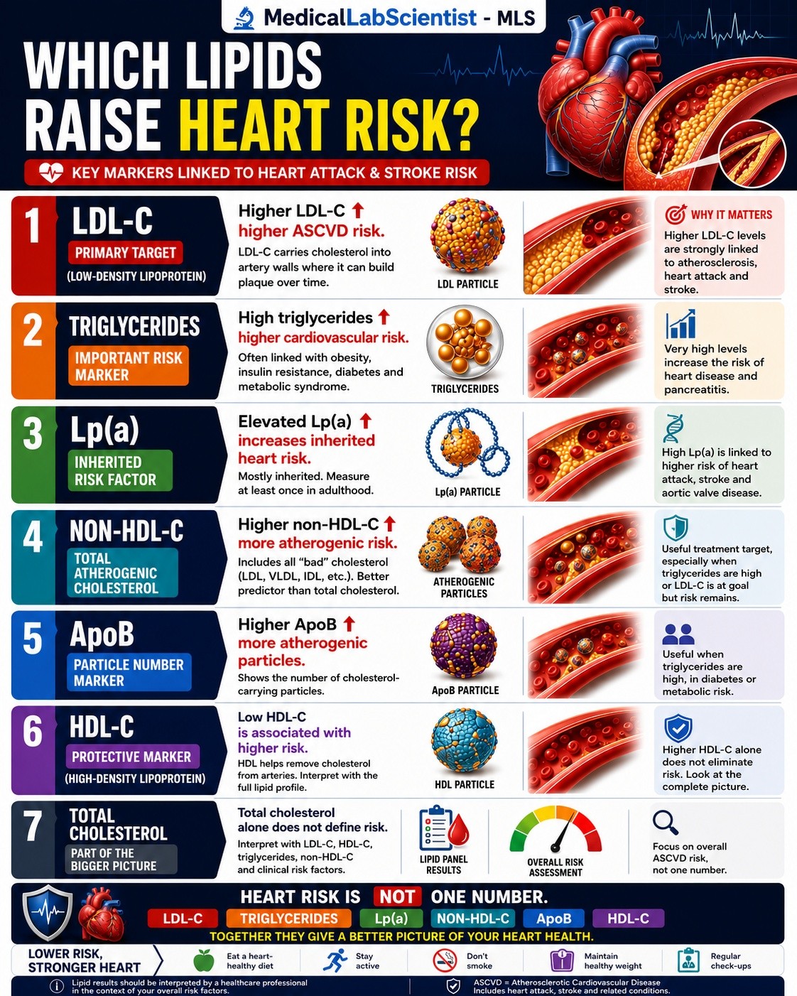 Which Lipids Raise Heart Risk? High cholesterol is linked to heart disease and heart attack risk. A lipid panel, also called a lipid profile or cholesterol test, measures LDL cholesterol, HDL cholesterol