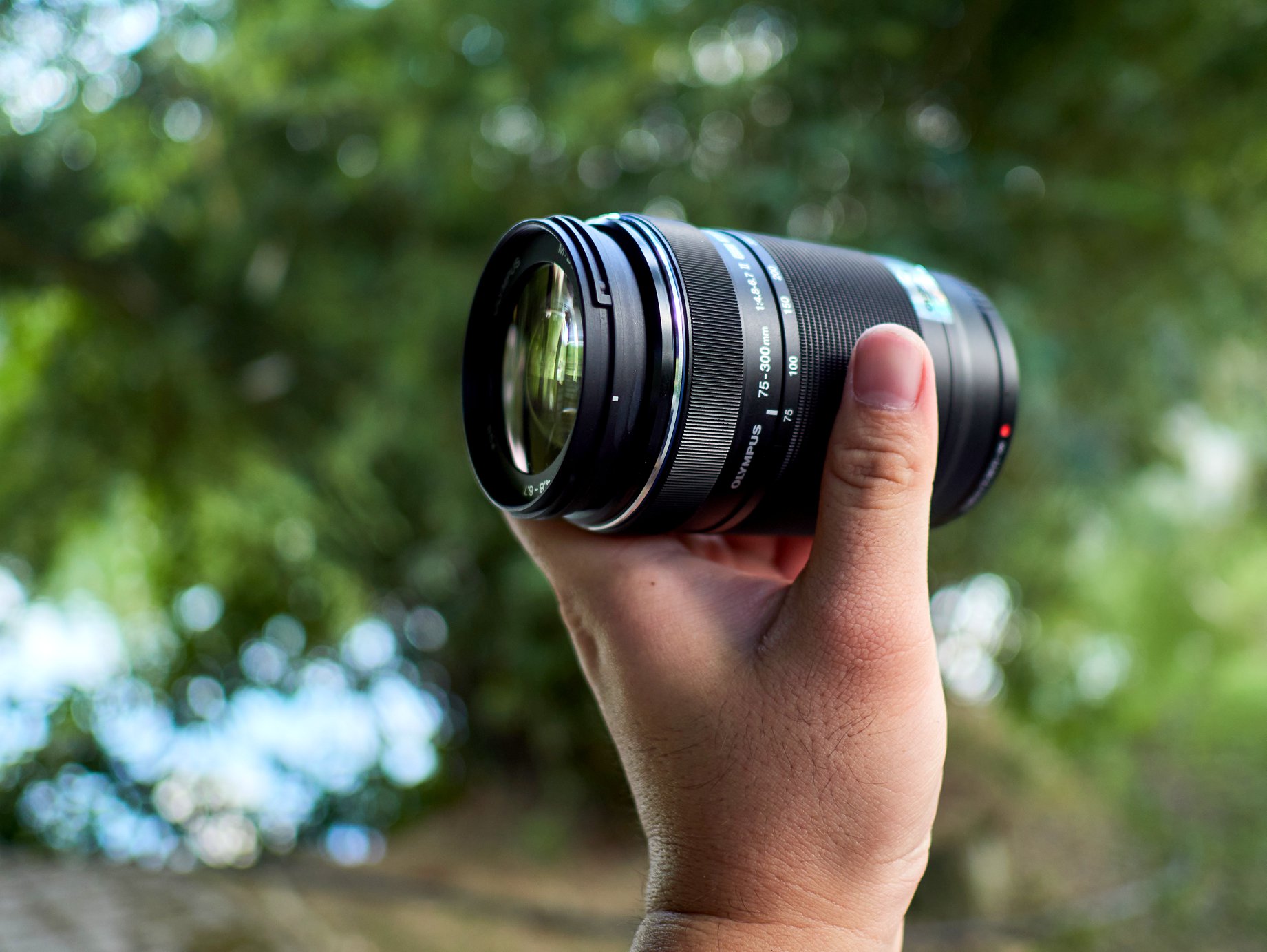 Olympus 75-300mm F4.8-6.7 II, Om-3. An underrated lens I think
