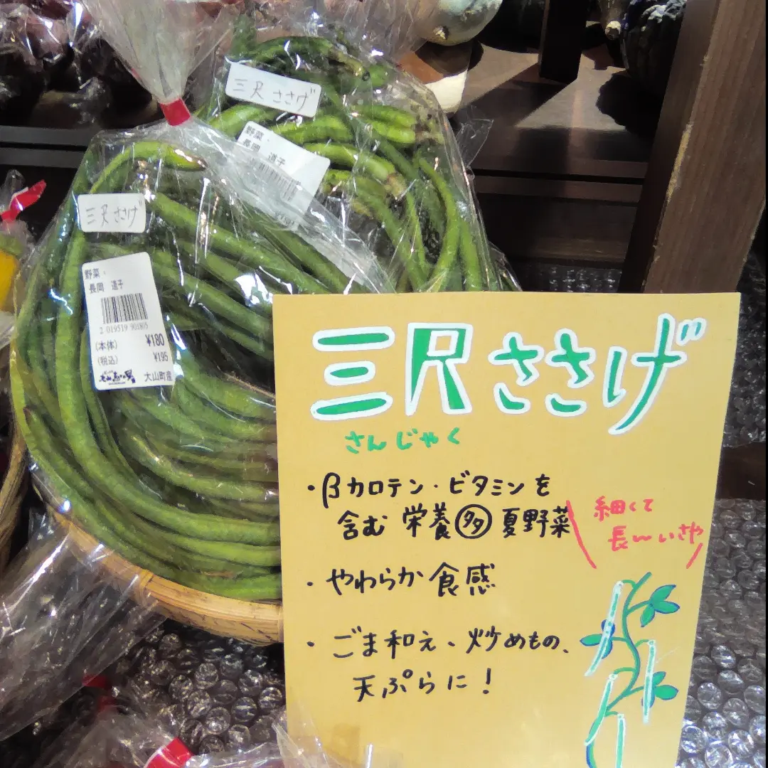 長〜いさやが特徴の三尺ささげ、登場しています🫛 見た目は長い