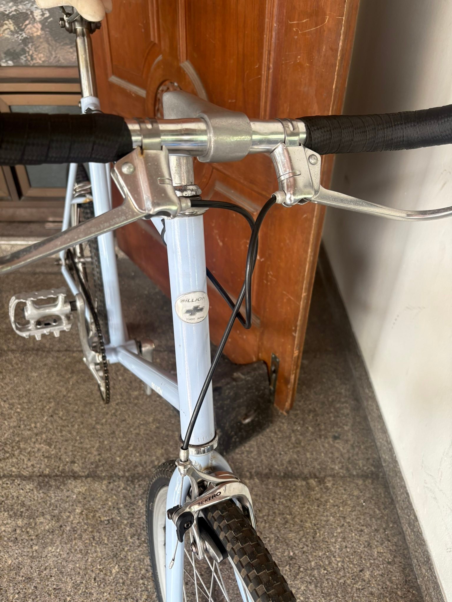 Billion SG-1 (single speed) Mini velo 20”451 size 48 cm.