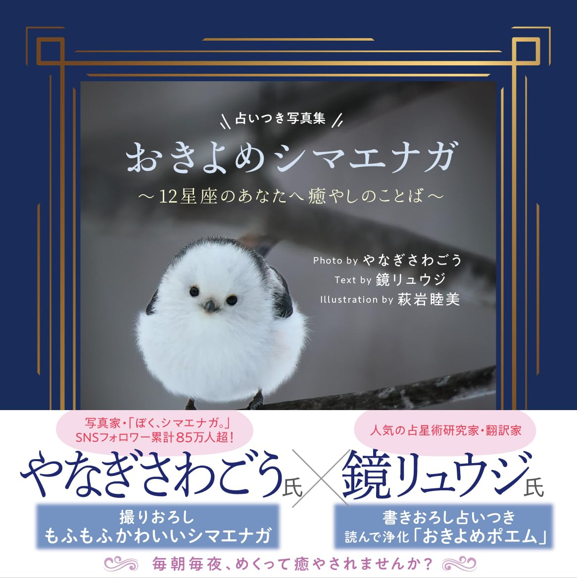 チラッ