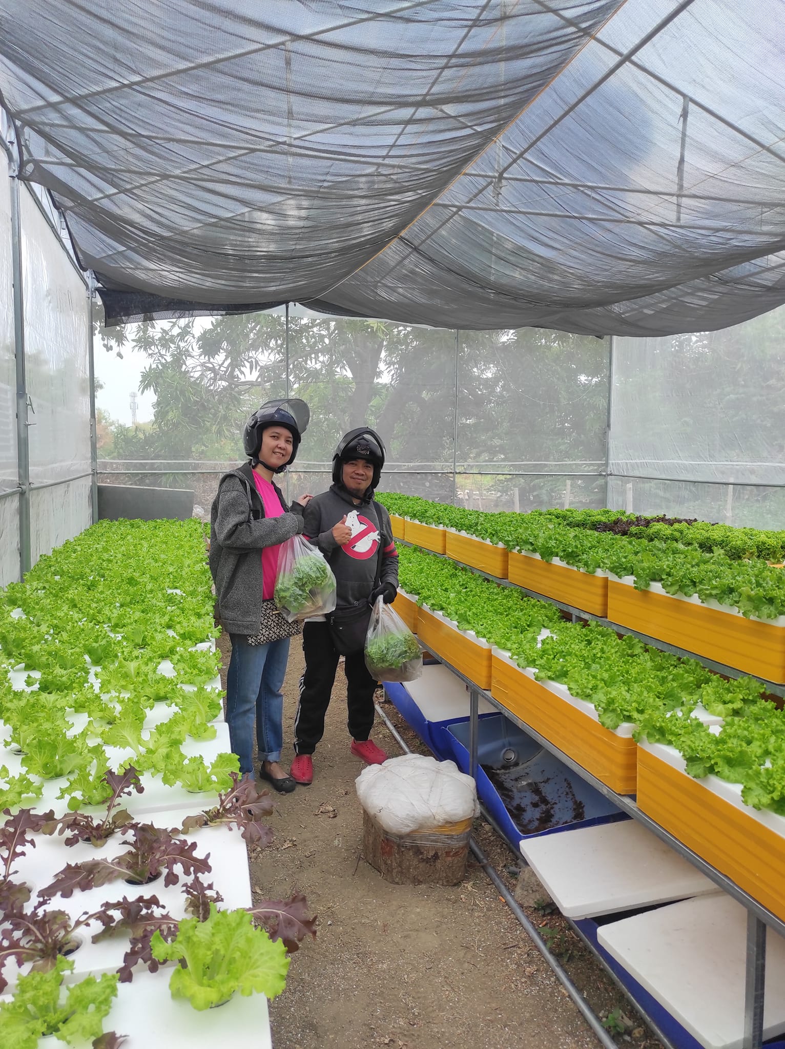 The Green Thumb Hydroponics Farm | Imus