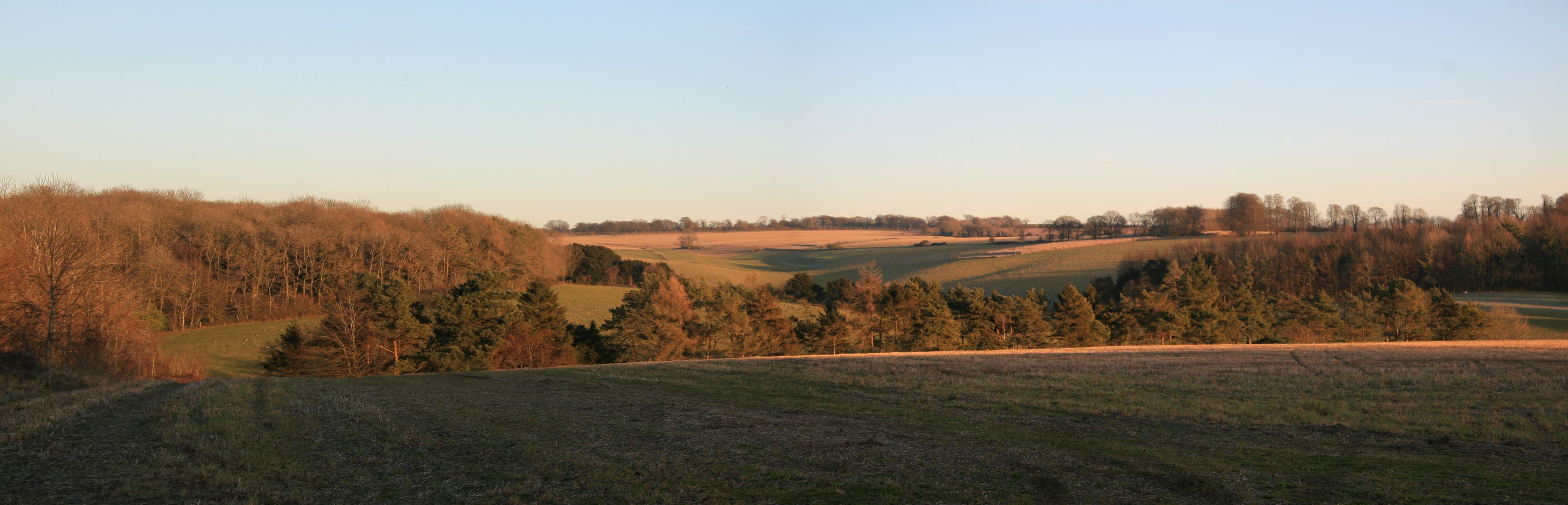 Preshaw Estate | Upham