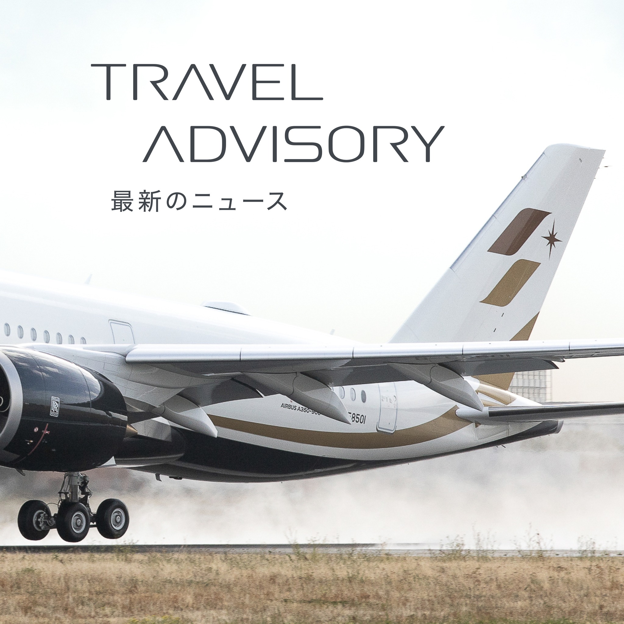 Steiff x STARLUX テディベアが再登場！ 】 ドイツの老舗ぬいぐるみ