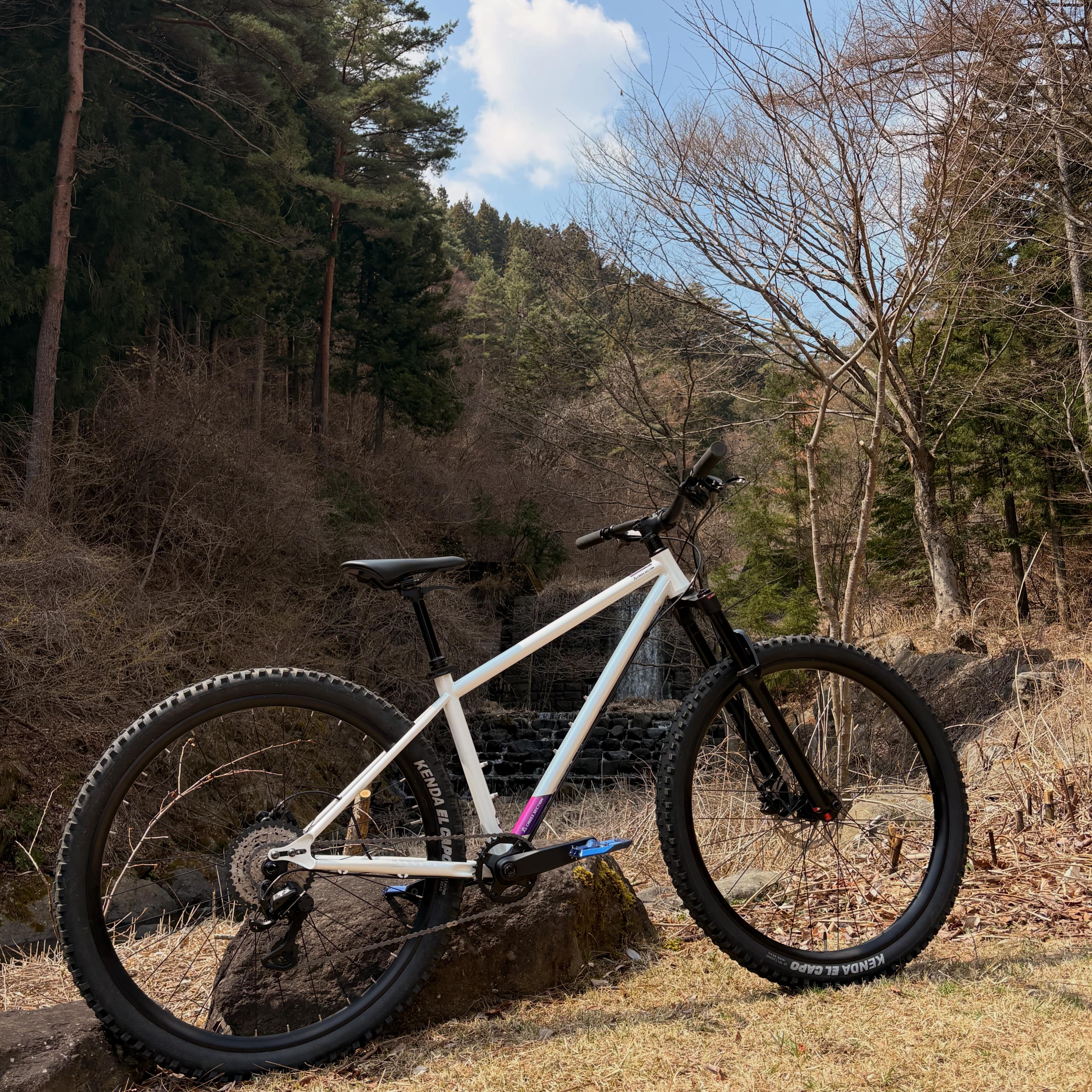新製品情報】LITEC MTBフレーム HASSO T-26 & T-29 『LITEC 