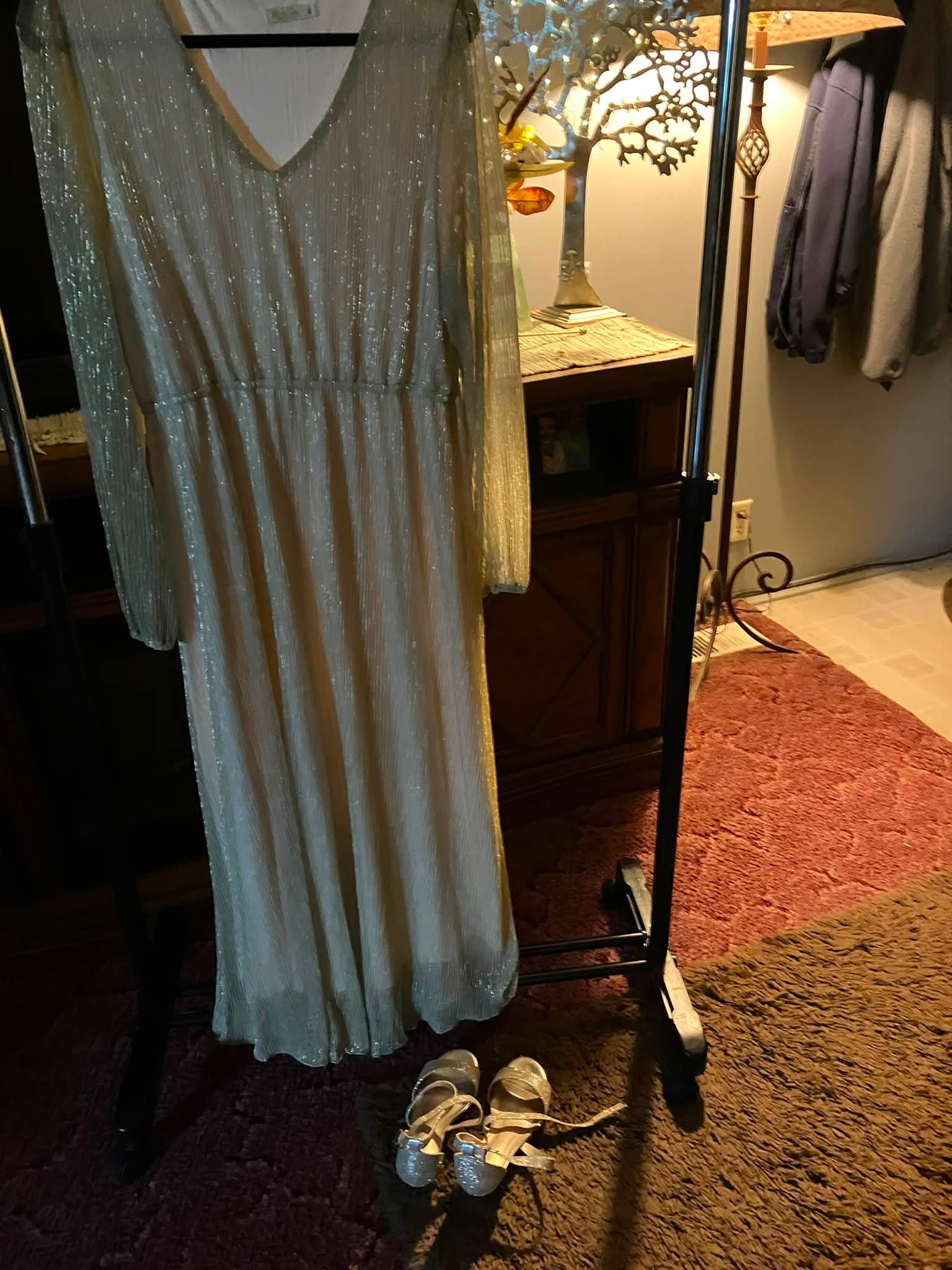 champagne dress with silver shoes Champagne-colored XL sparkly gown and size 7 for sale Waist:W-34 RACHEL PALLY Rae Tie Occasion: Birthday Dresses and Outfits White dress friendly design