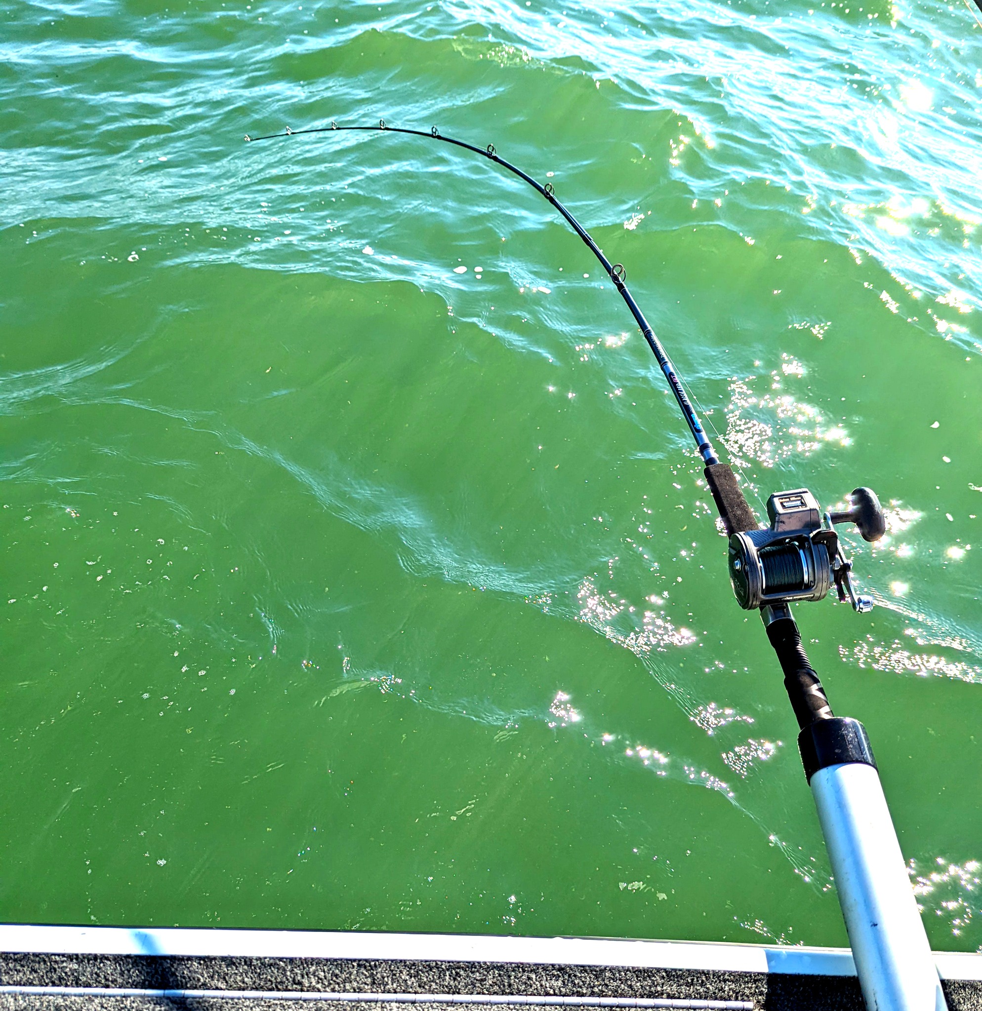 reel shimano sienna 2500 fb BWP How to Set Up Color:Green pumpkin magic it is still a