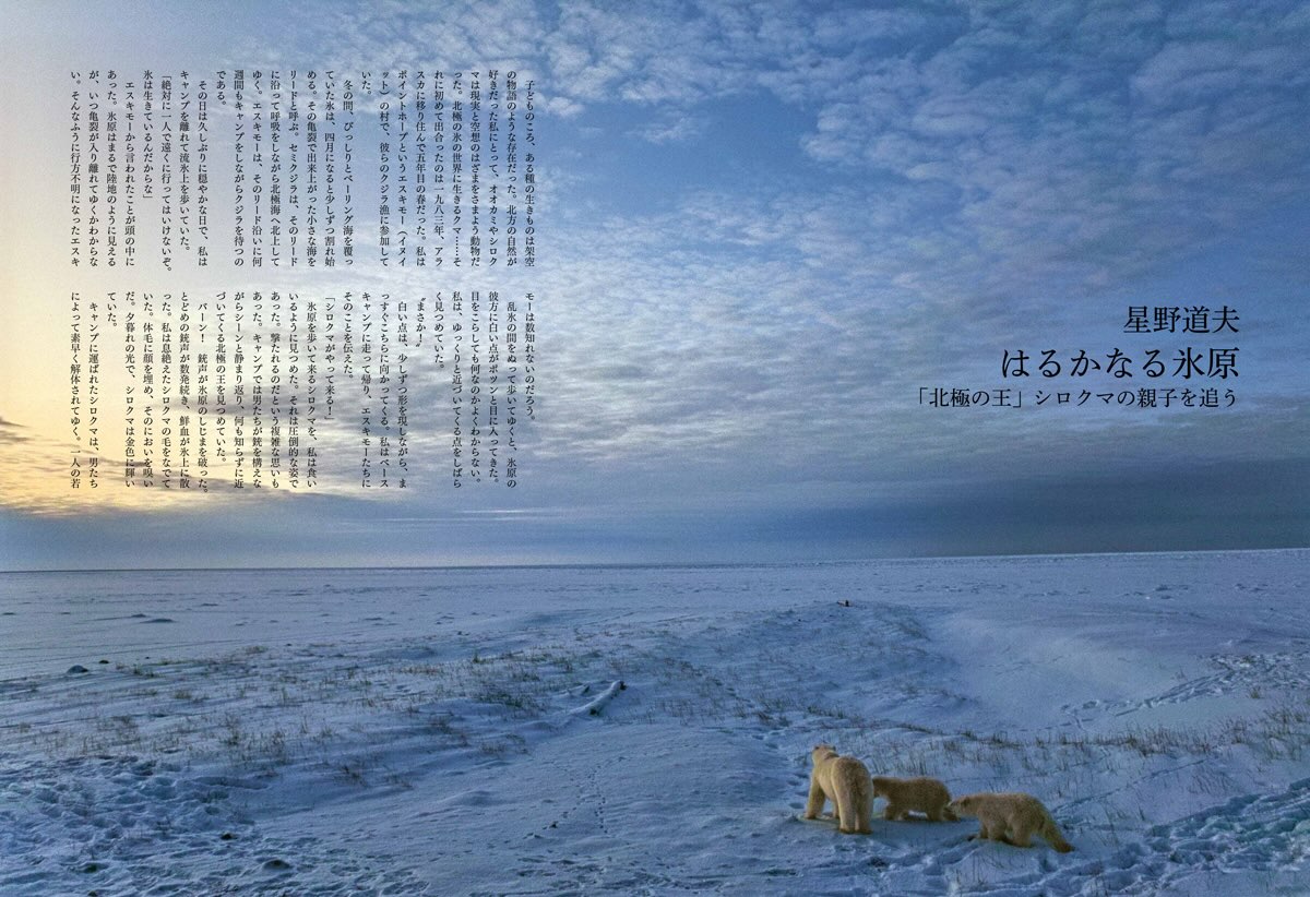 Coyote - Coyote No.88「版画家・大谷一良の遺した山々 〜山の