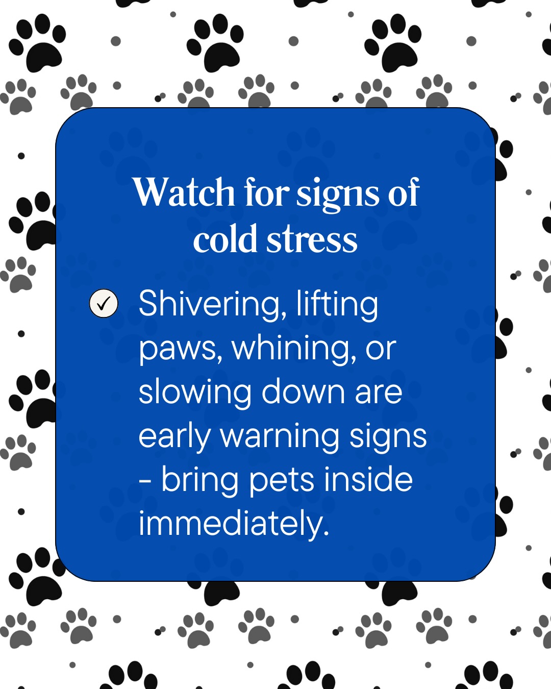 Photo inspiration: Slowing Dog Rescue Anxiety Reference: Complete Pet Care Complete Pet Care Animal Hospital