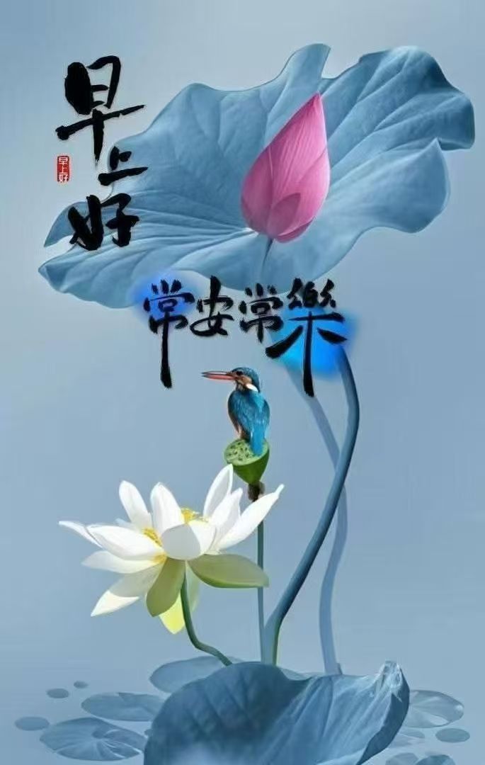 y早安！吉祥如意🙏🙏🙏🌈🌈🌈