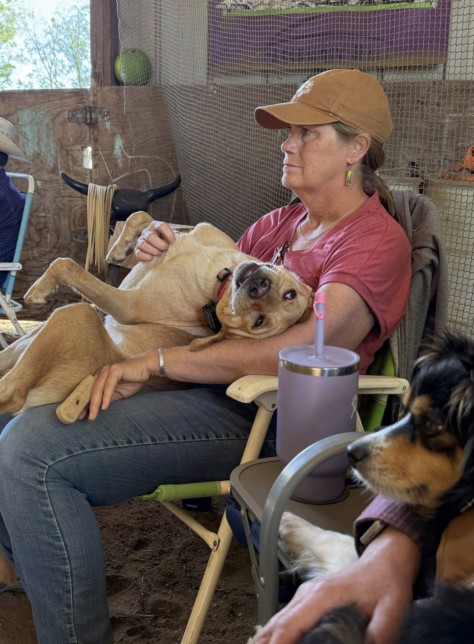 Thank you to everyone who... - Scott Stokes at S Bar J Ranch | Facebook