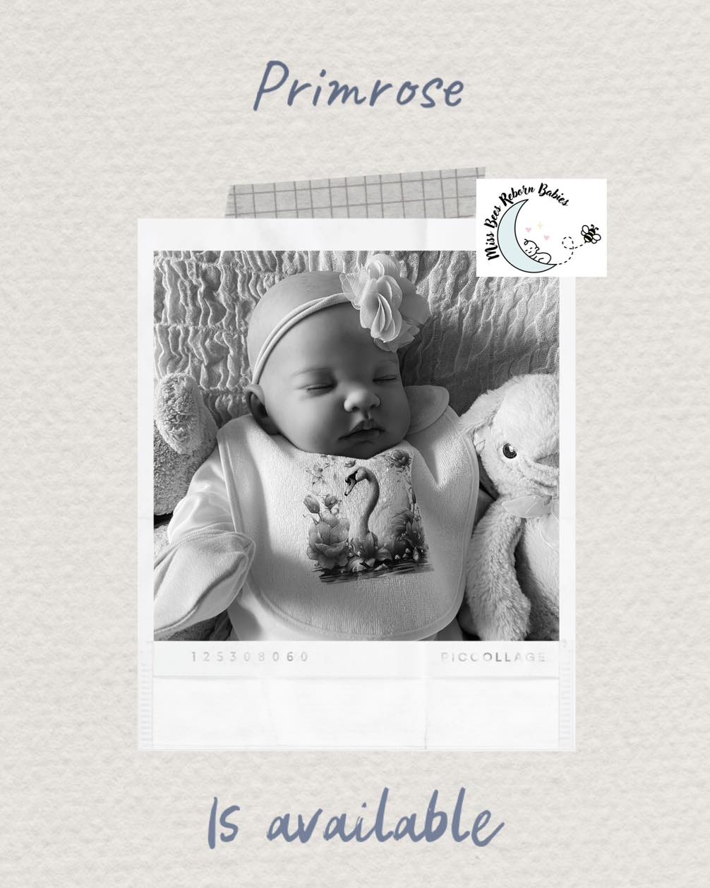Miss - Primrose Reborn Baby Doll – 20