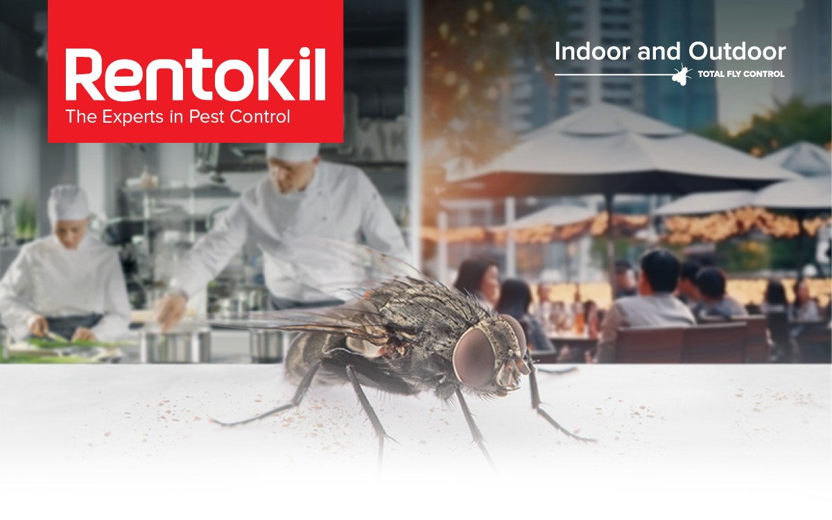 Rentokil - South Africa's warm summer weather provides a perfect ...