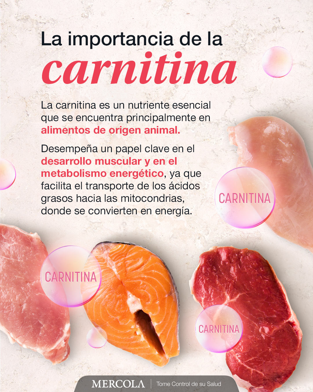l carnitina de donde se obtiene La es un nutriente muy importante que encuentra en los alimentos origen animal. 🐟 Ayuda al desarrollo muscular y facilita el transporte de las grasas hacia las mitocondrias, Skin and Beauty Buy BPC-157 Online Canada: Inhoud:60 capsules