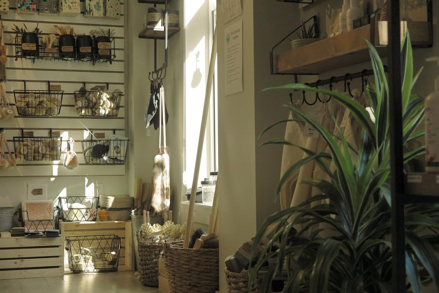 ASH Refillery and Co. | Victoria BC