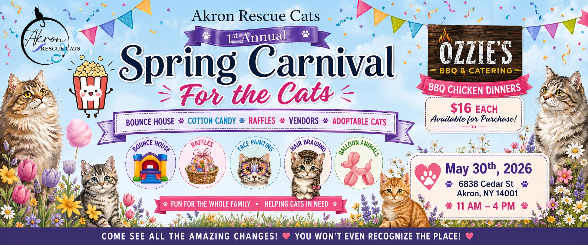 Akron Rescue Cats 1st Annual Spring Carnival For the Cats