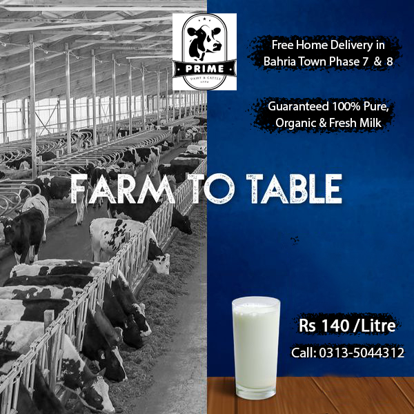 Prime Dairy Farm Rawalpindi