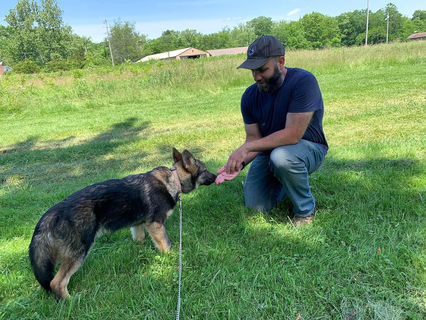 Our... - Red Riding Hood Rescue Project - a wolfdog rescue | Facebook
