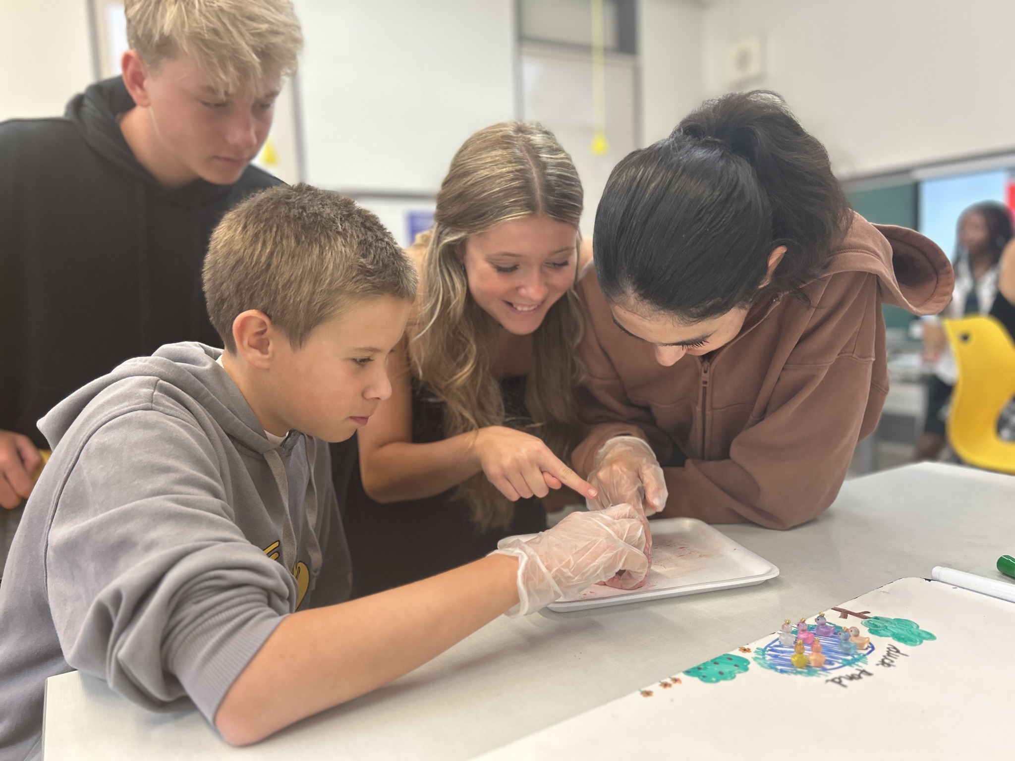 Our Grade 8 & 9 Science students... - Halifax Grammar School | Facebook