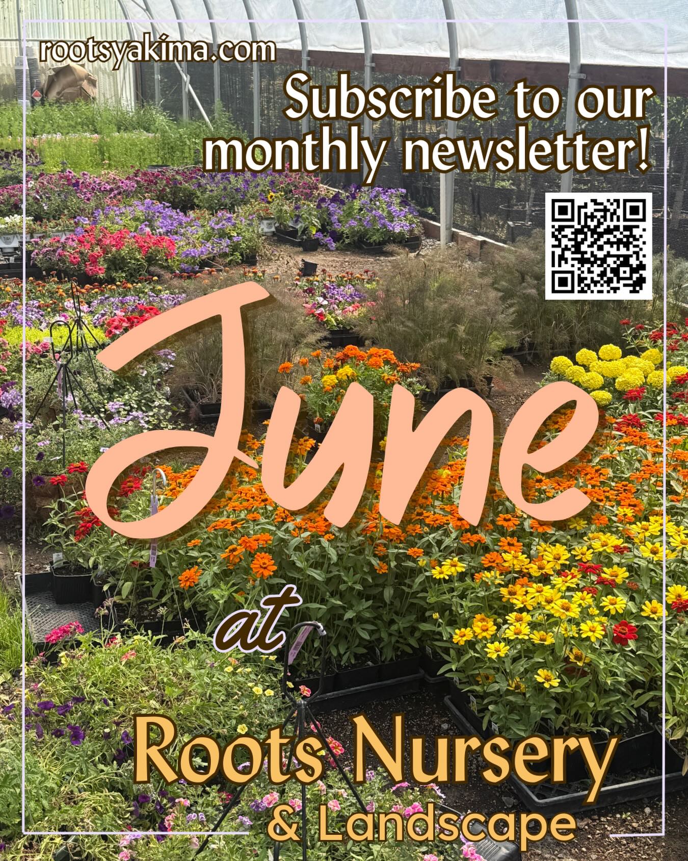 Subscribe to Roots Nursery newsletter for sales and gardening tips