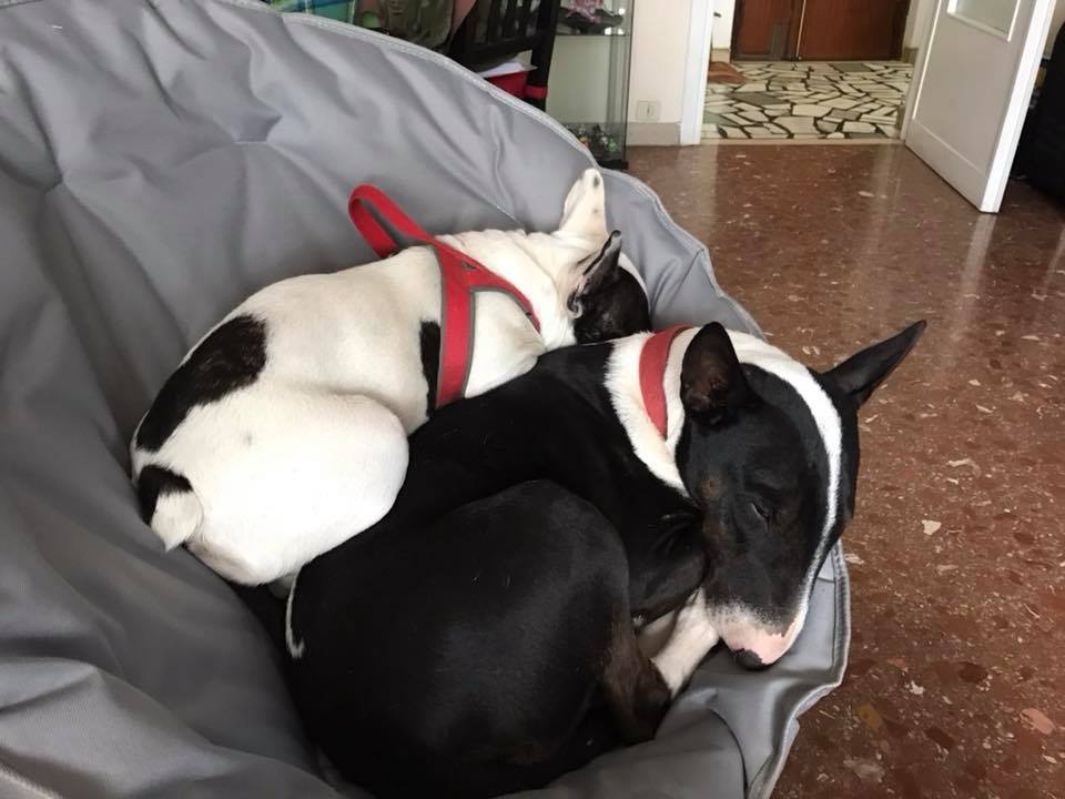 Rasha e i suoi figli