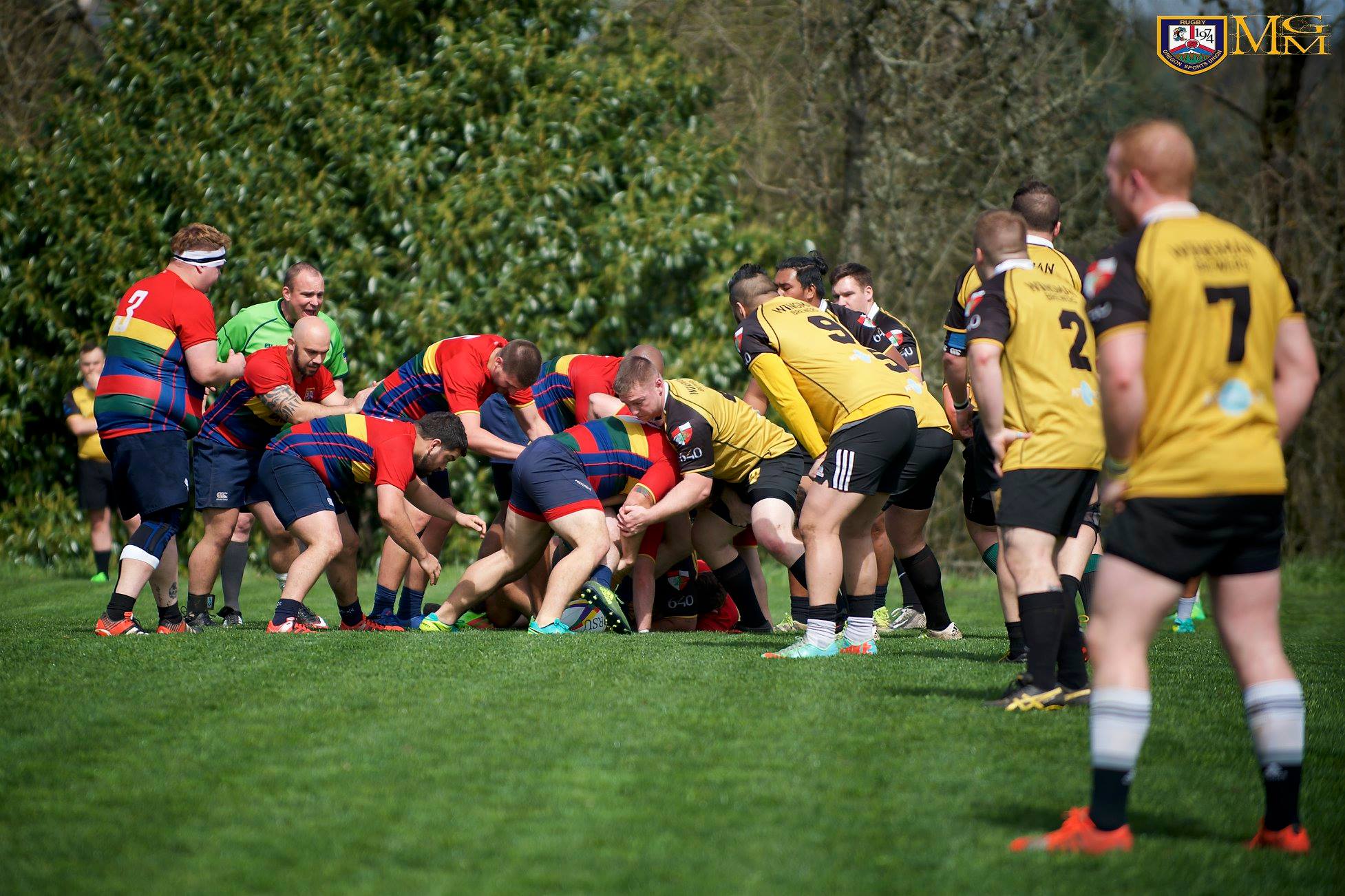 Oregon Sports Union... - Oregon Sports Union (ORSU) Rugby | Facebook