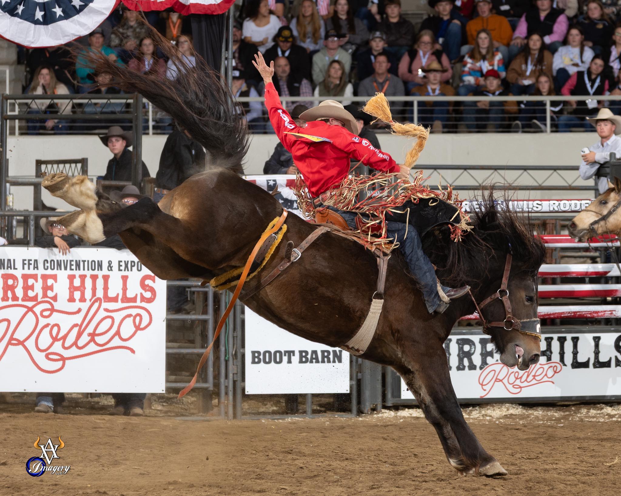 💥2025 Three Hills... - Avid Visual Imagery Rodeo Photography | Facebook
