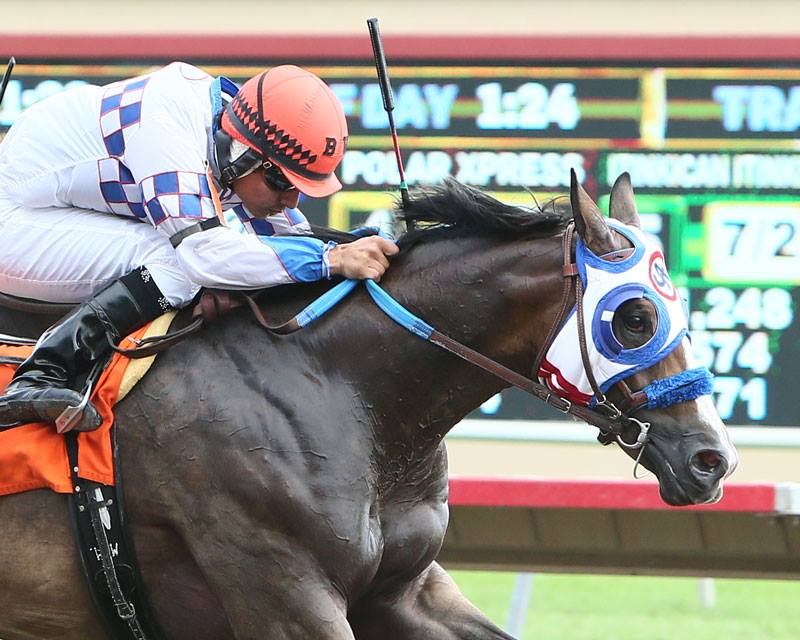 Q-Racing - A racing rarity occurred at Canterbury Park on...