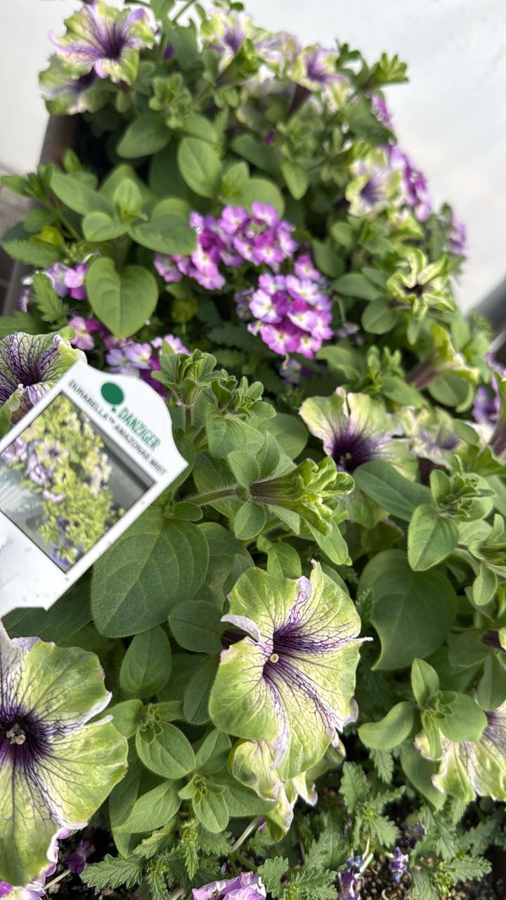 Hanson's Greenhouse & Floral | Shevlin MN