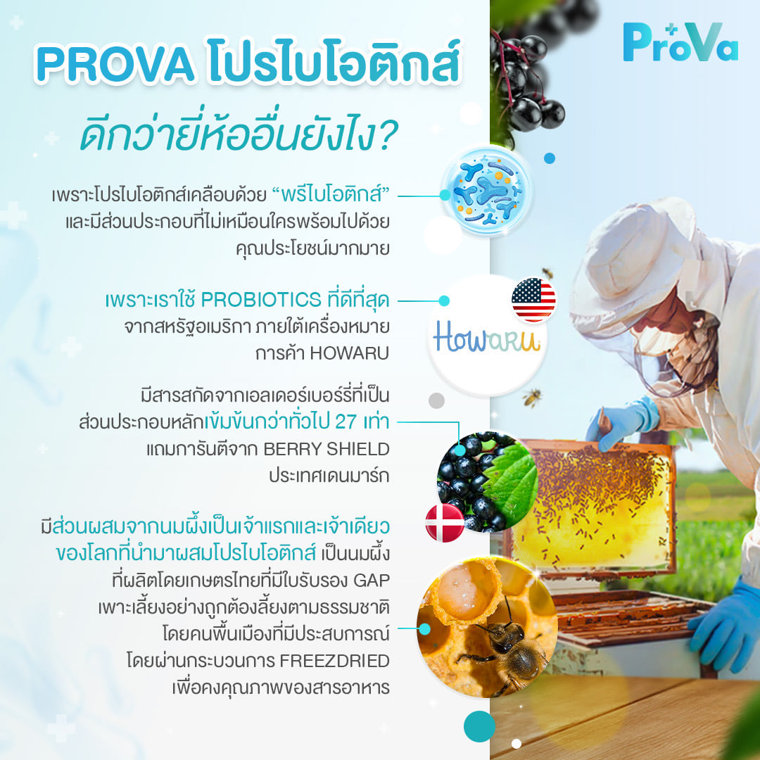 Prova_probio/chicken little | Bangkok